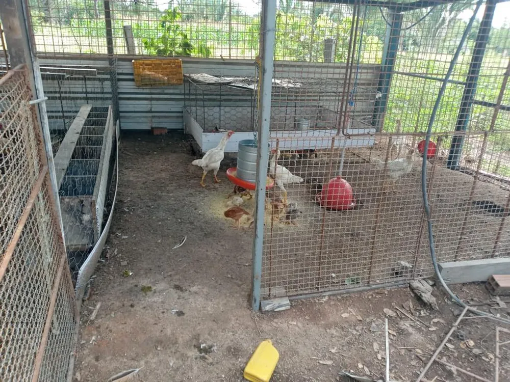 Fazenda - Foto 13
