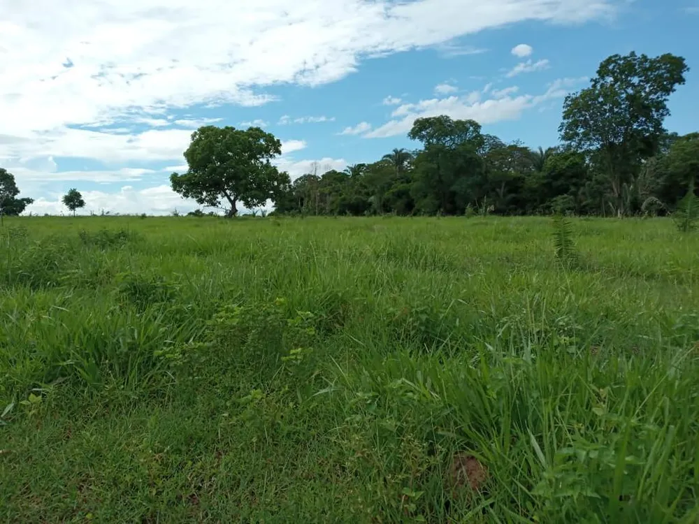 Fazenda - Foto 10