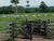 Fazenda - Foto 5