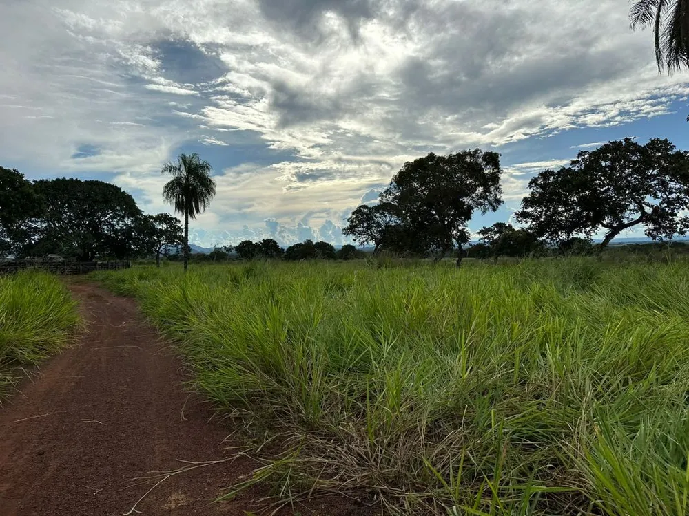 Fazenda, 5 quartos - Foto 10