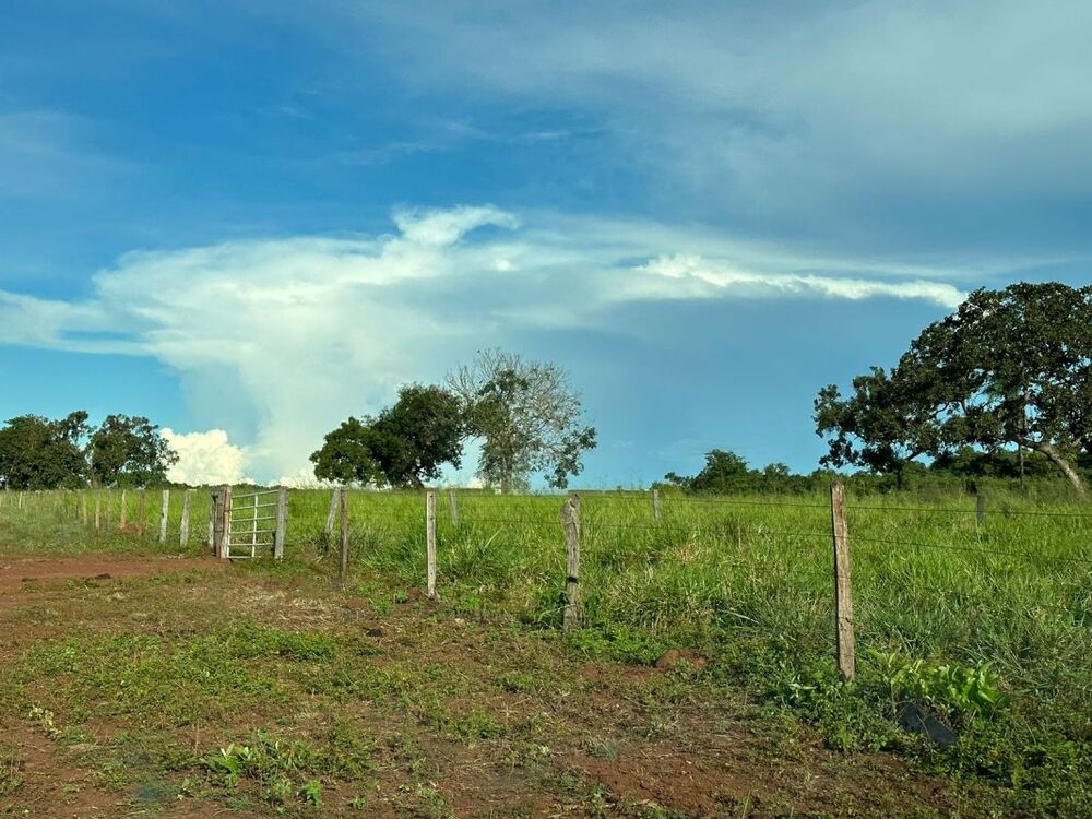Fazenda à venda com 5 quartos, 970m² - Foto 8