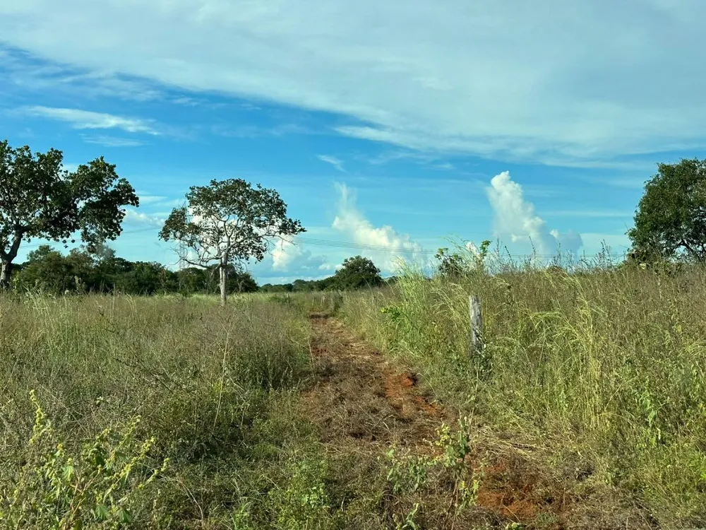 Fazenda, 5 quartos - Foto 16
