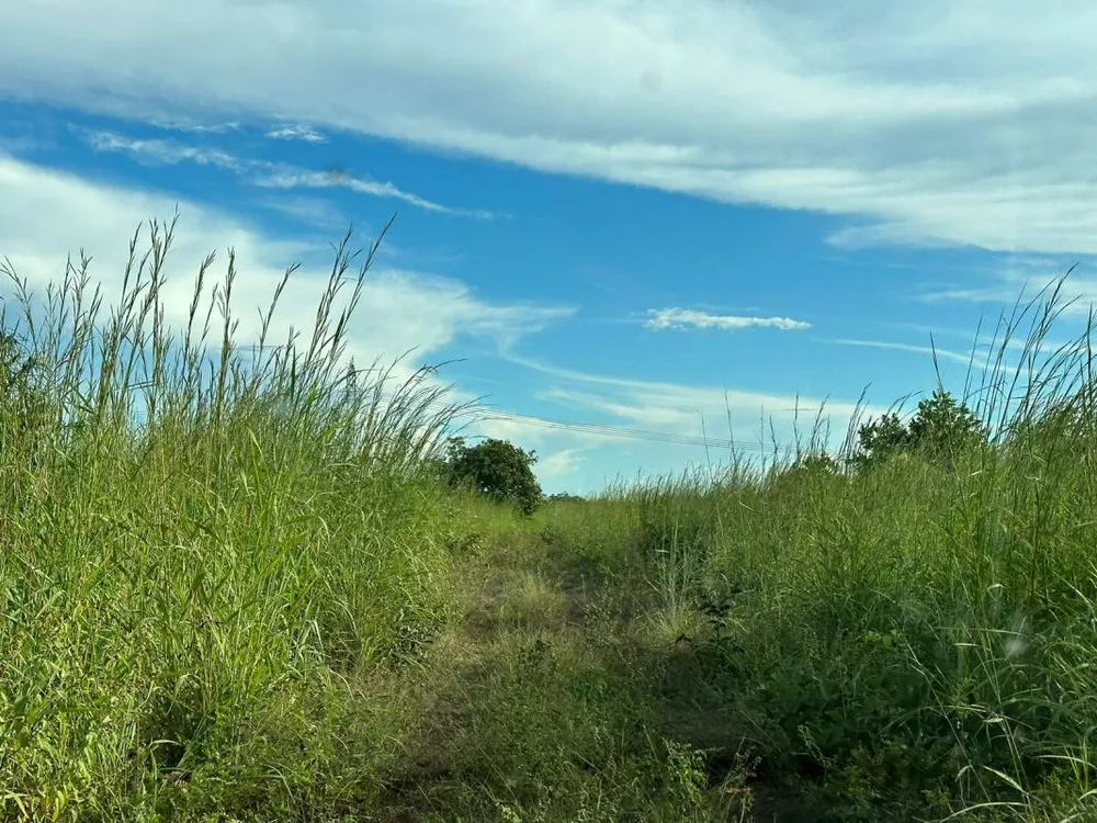 Fazenda à venda com 5 quartos, 970m² - Foto 1