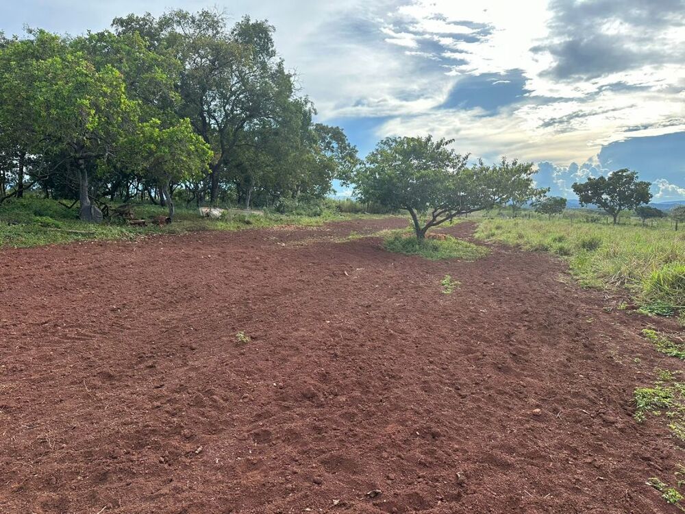 Fazenda à venda com 5 quartos, 970m² - Foto 6