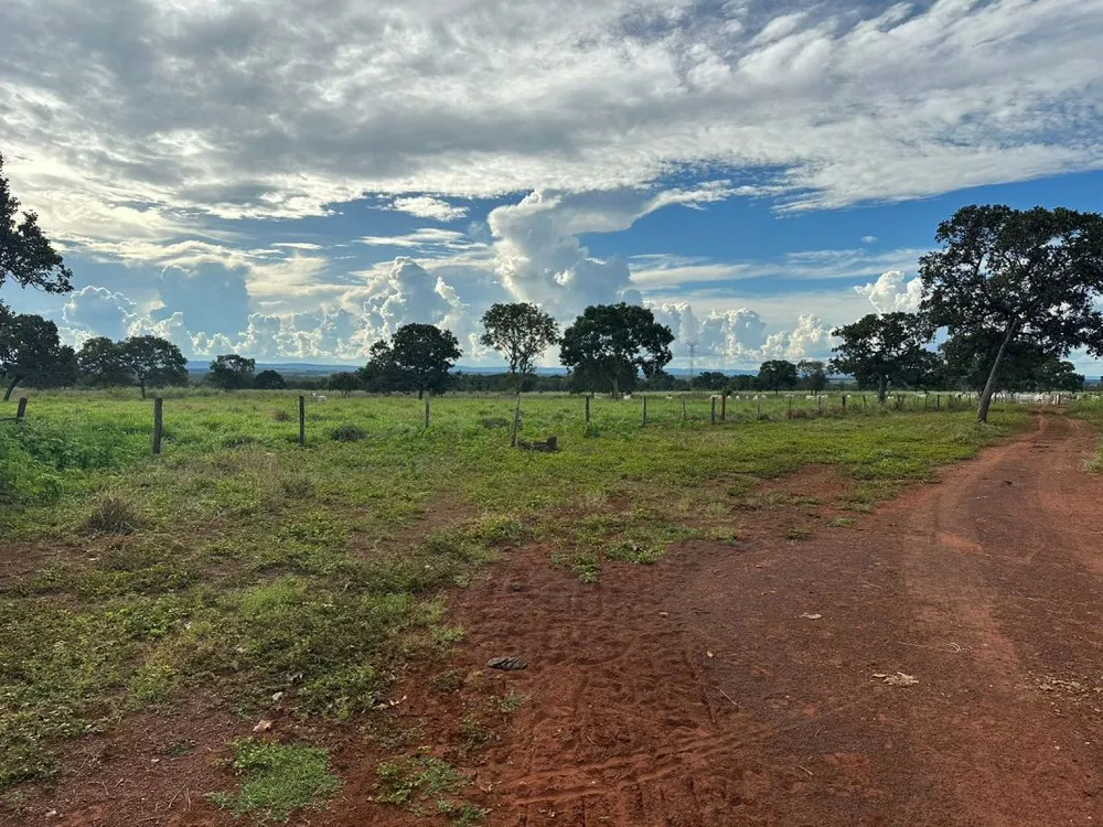 Fazenda, 5 quartos - Foto 15