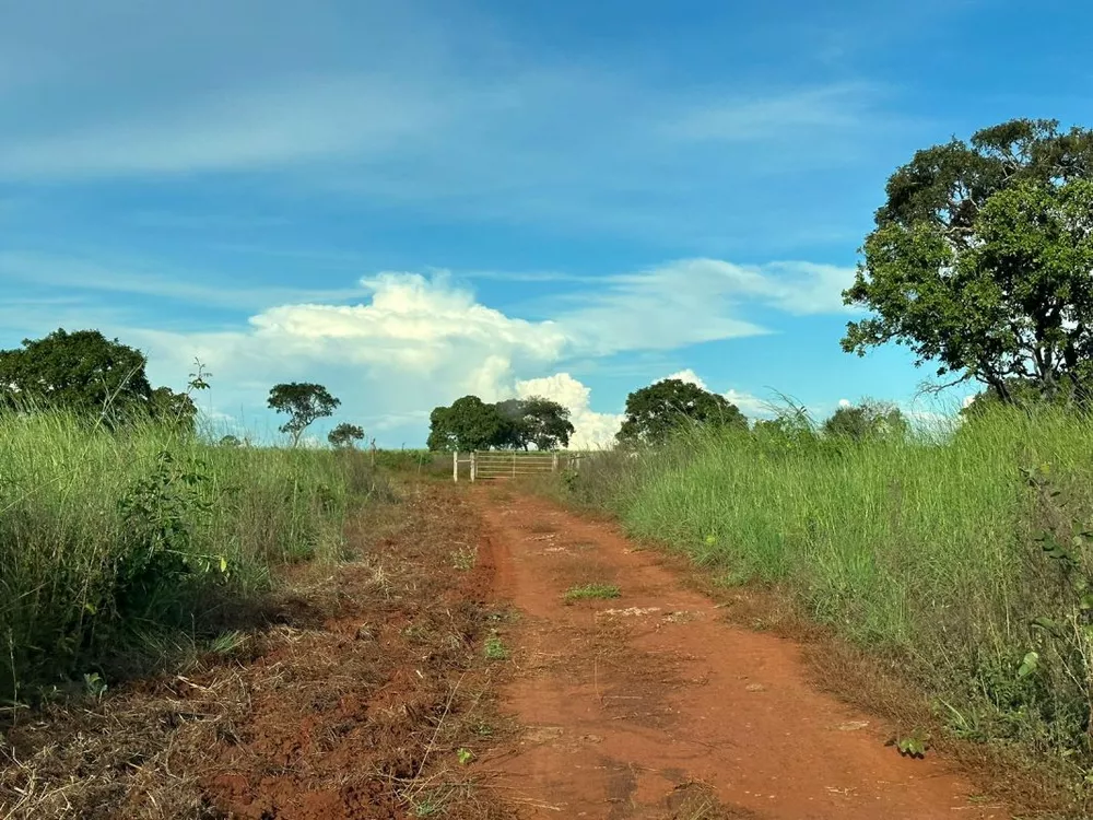 Fazenda à venda com 5 quartos, 970m² - Foto 3