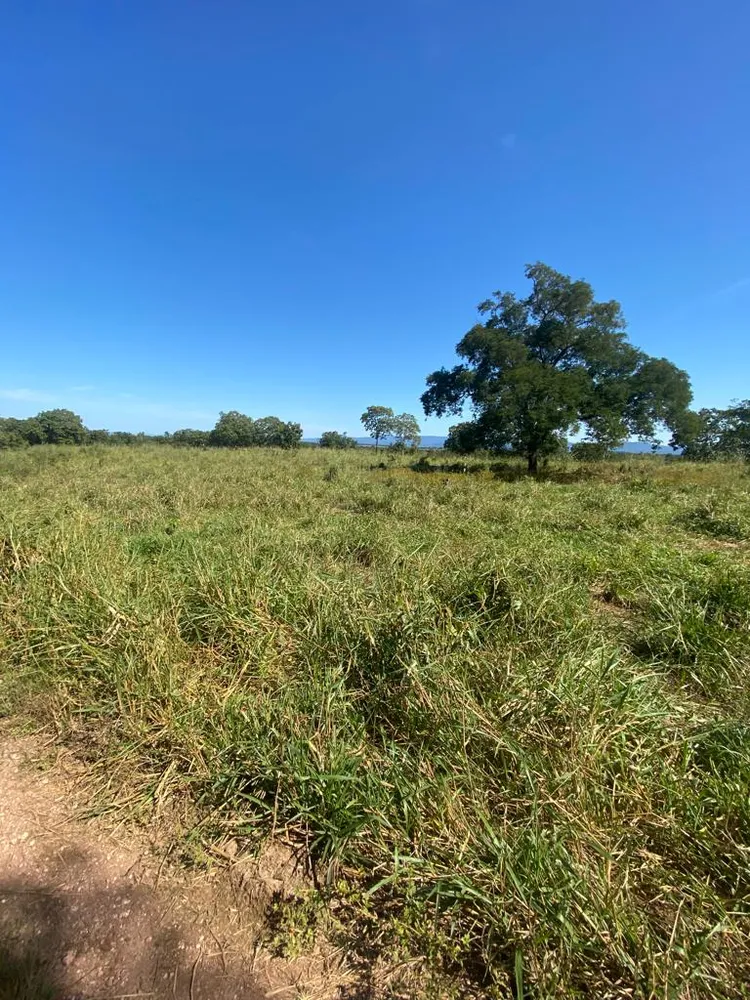 Fazenda, 3 quartos - Foto 10
