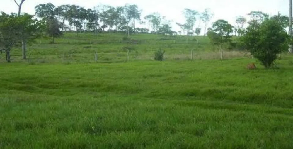 Fazenda, 3 quartos - Foto 2