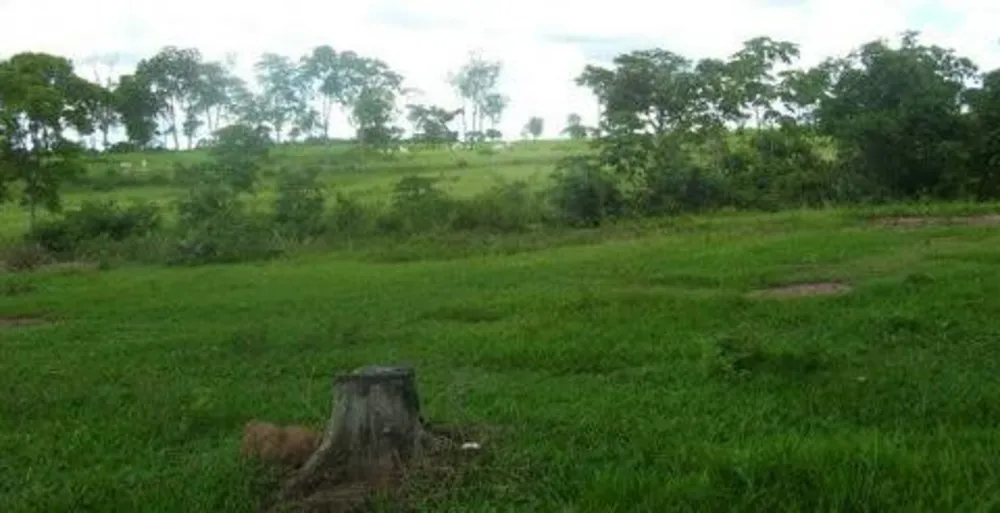 Fazenda, 3 quartos - Foto 6