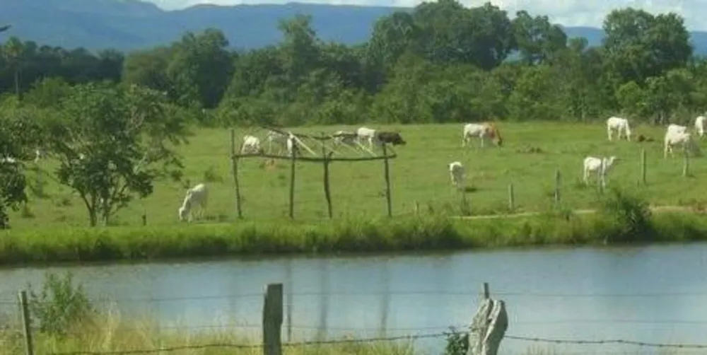 Fazenda, 3 quartos - Foto 5