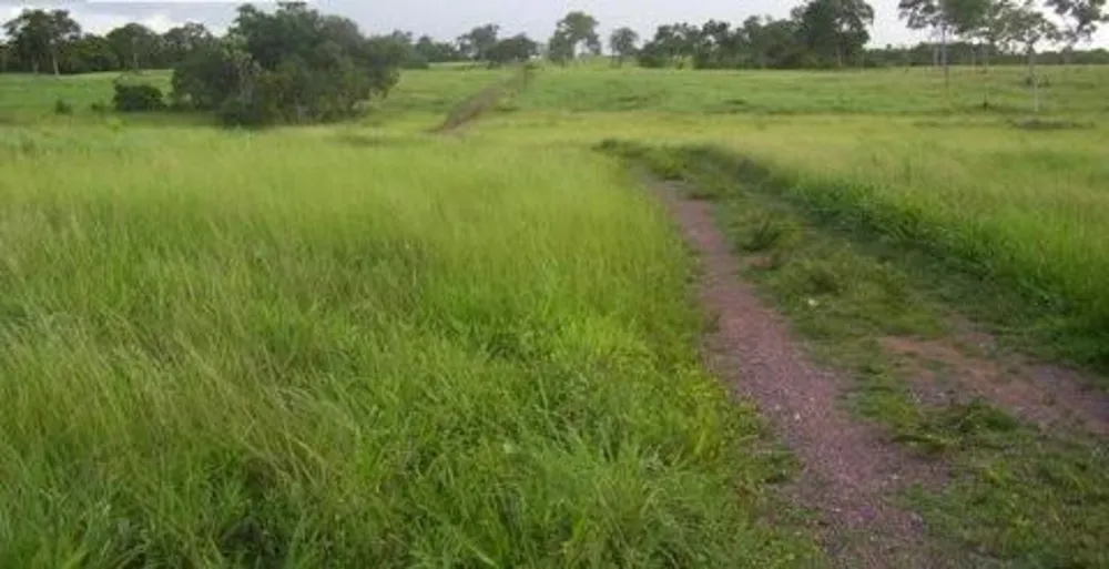 Fazenda, 3 quartos - Foto 1