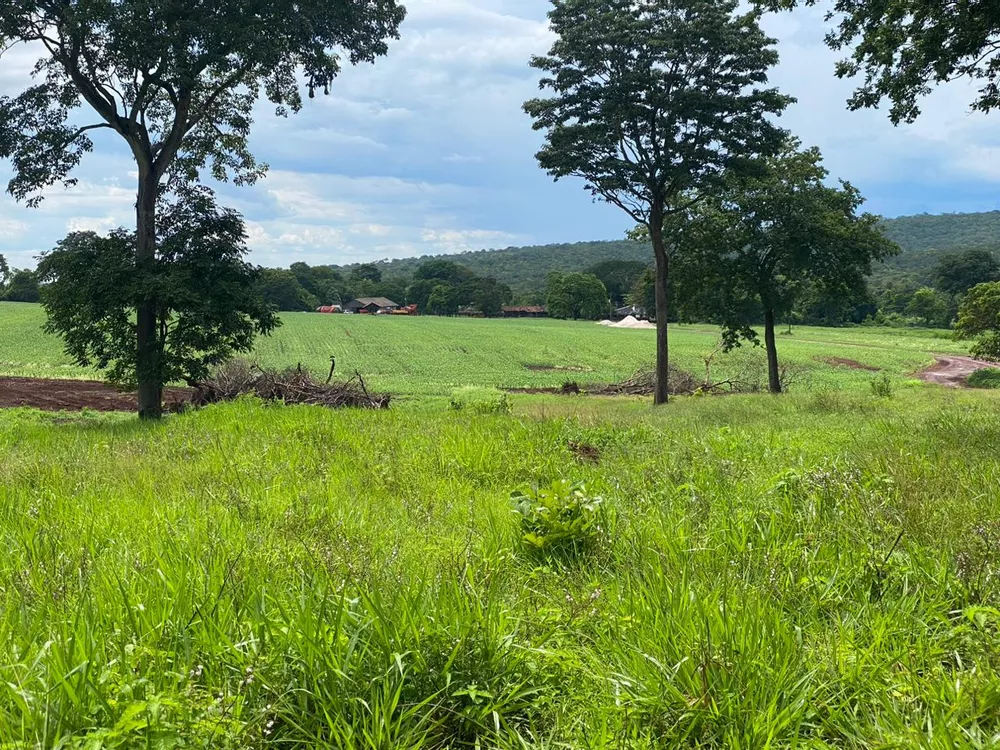 Fazenda à venda com 4 quartos, 1250m² - Foto 1