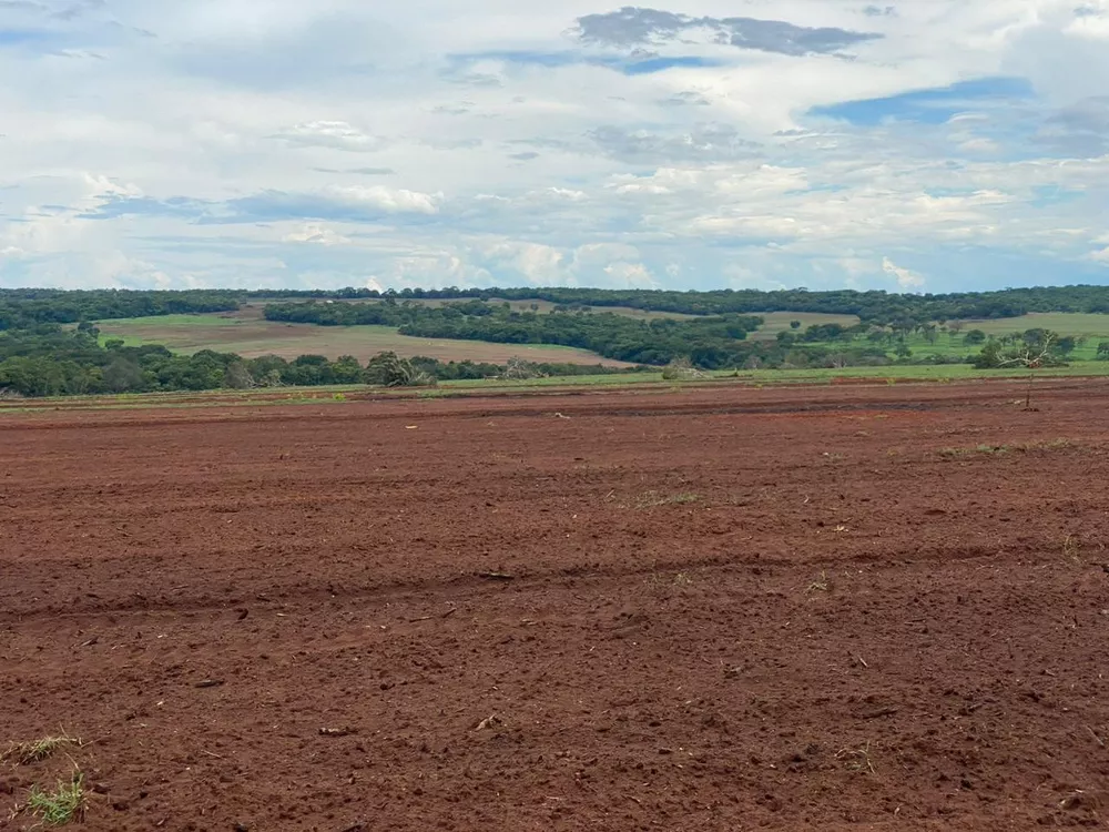 Fazenda à venda com 4 quartos, 1250m² - Foto 4