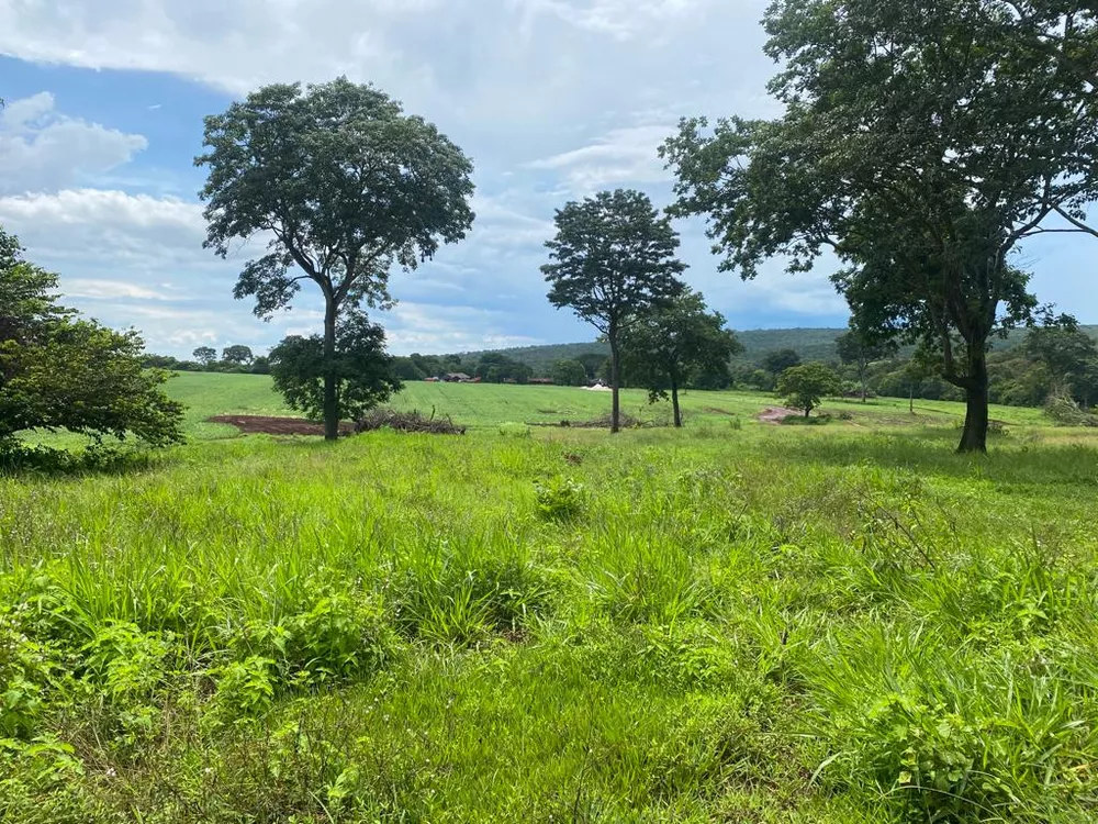 Fazenda à venda com 4 quartos, 1250m² - Foto 2