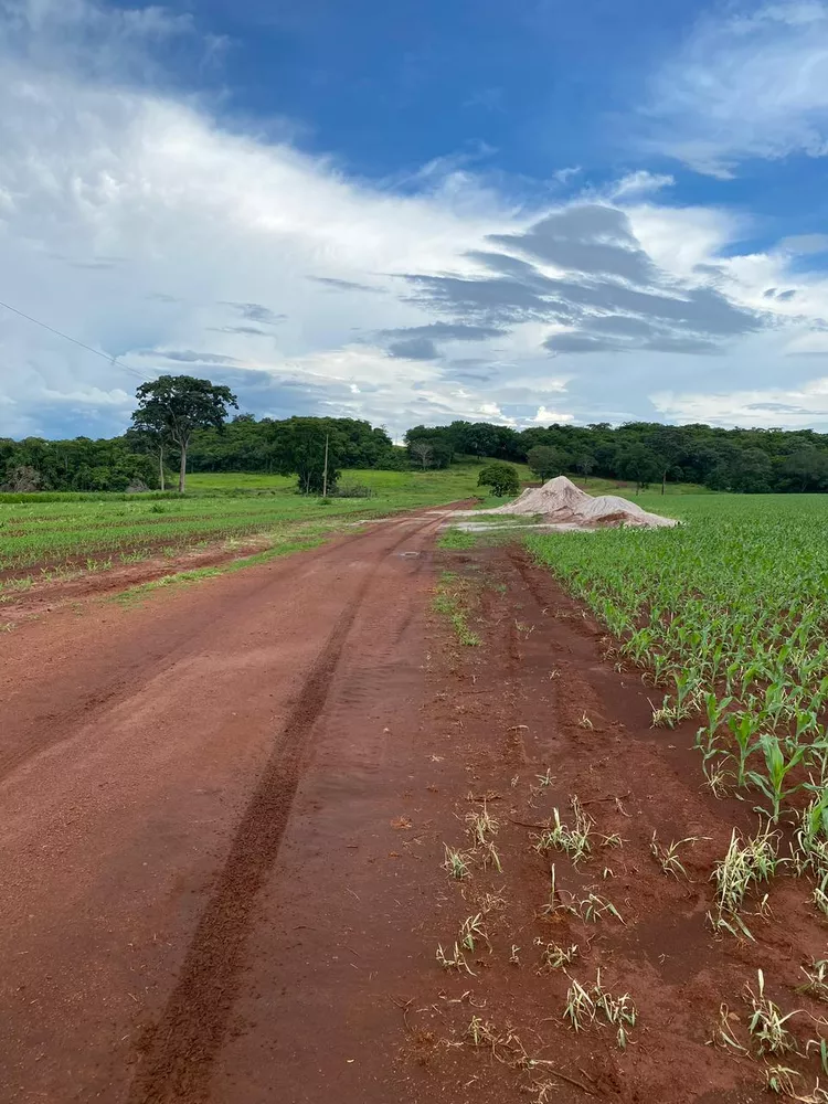 Fazenda à venda com 4 quartos, 1250m² - Foto 3