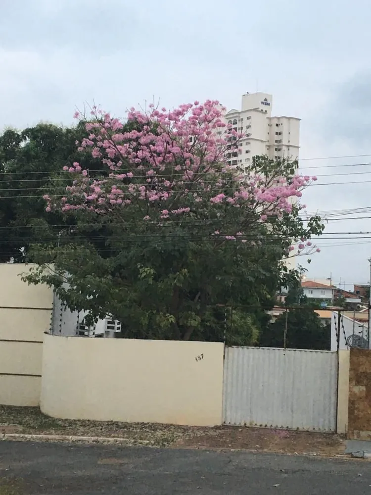 Casa, 3 quartos, 936 m² - Foto 9