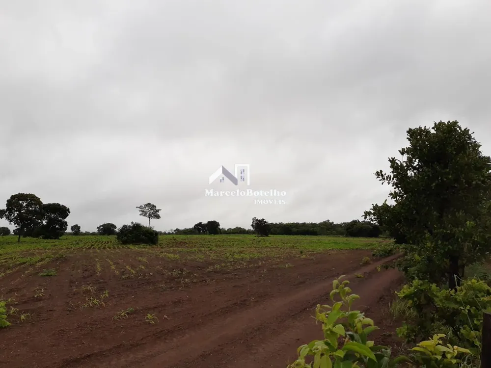 Fazenda - Foto 16