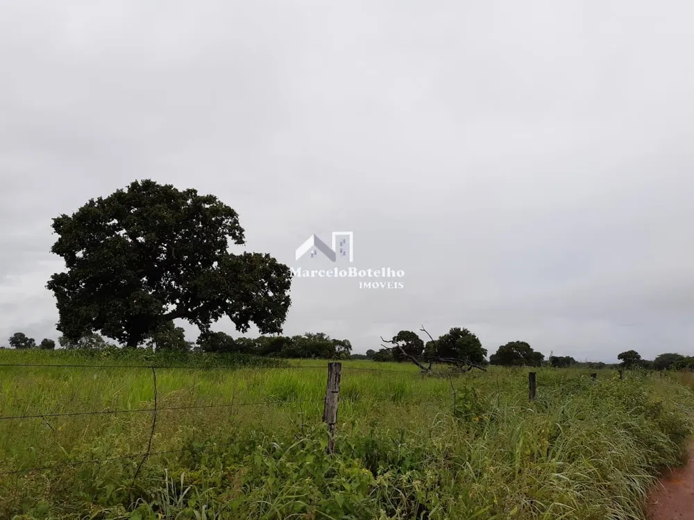 Fazenda - Foto 9