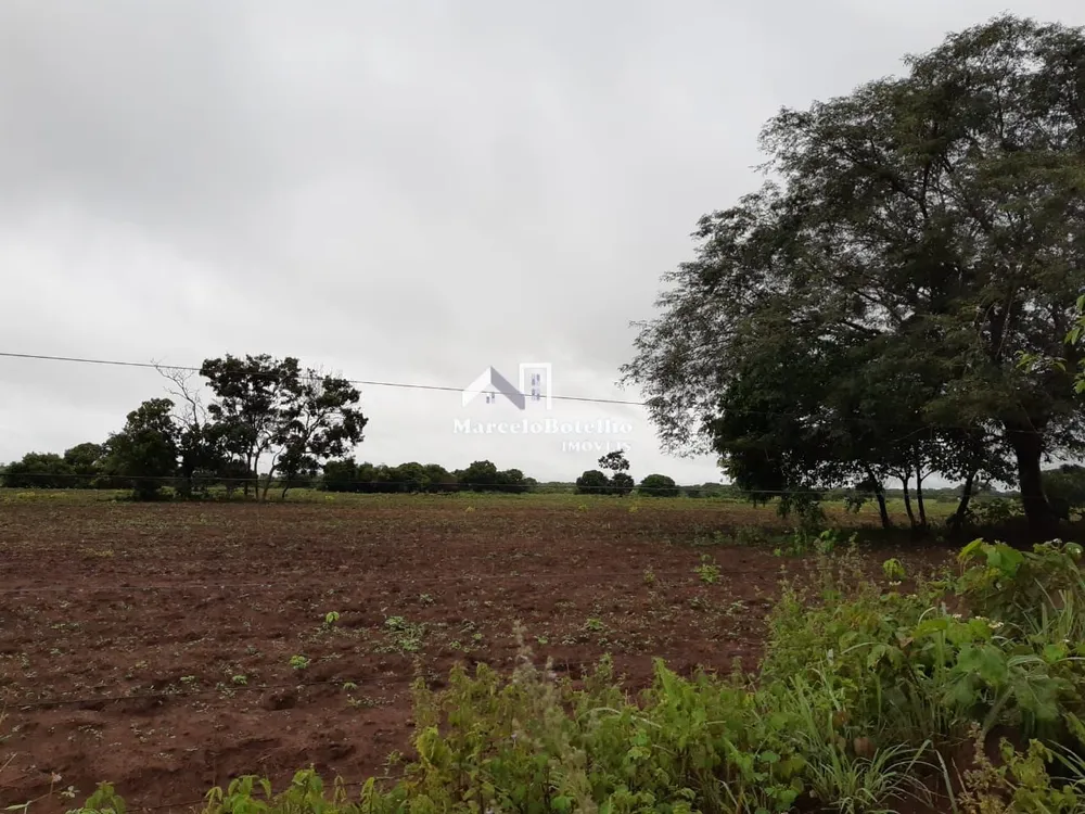 Fazenda - Foto 11
