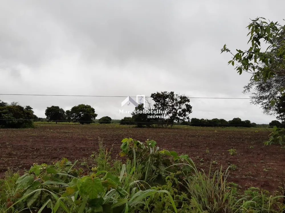 Fazenda - Foto 10