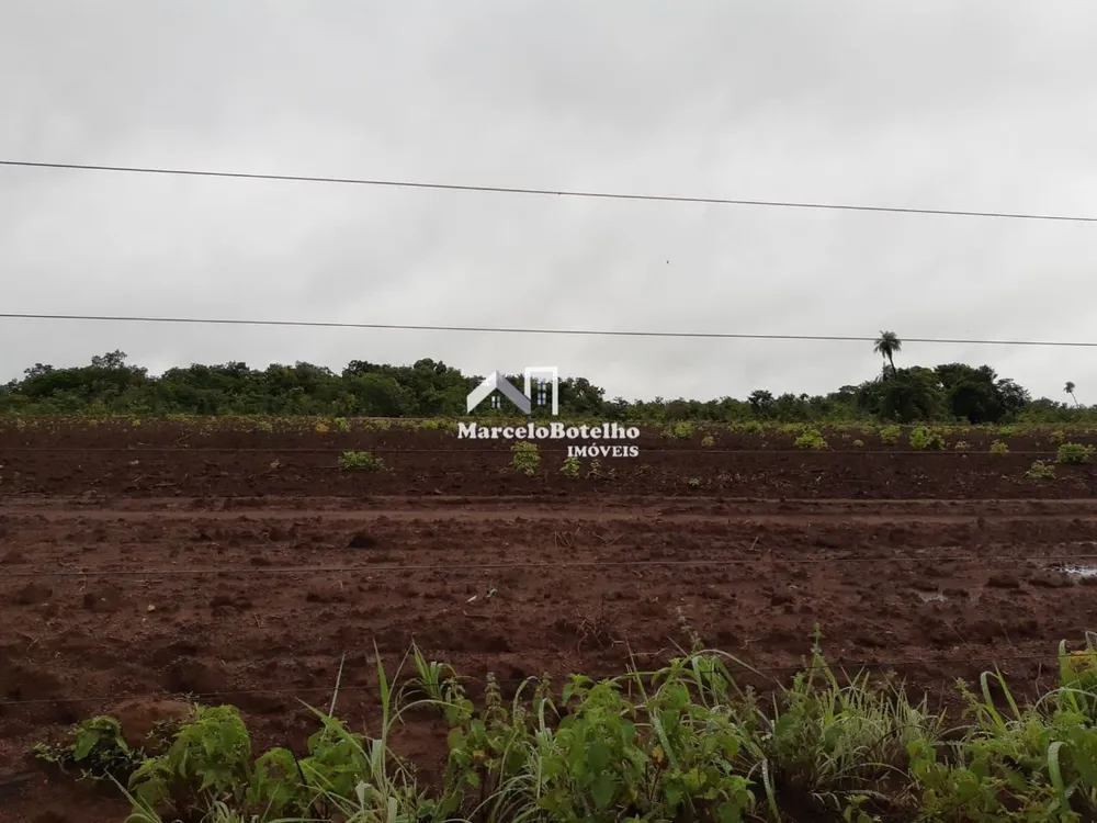 Fazenda - Foto 17