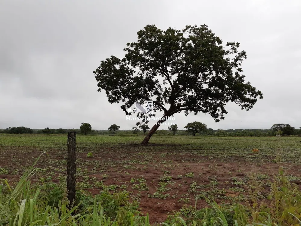 Fazenda - Foto 18