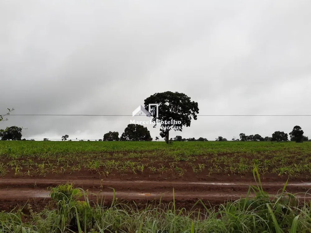 Fazenda - Foto 12