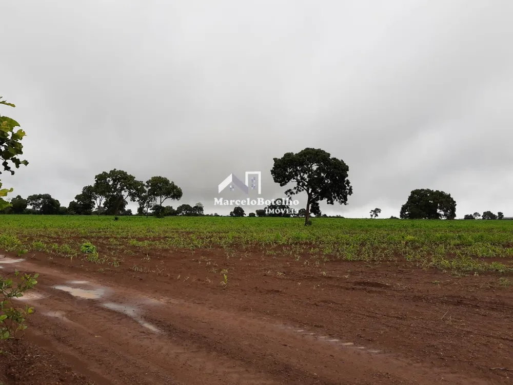 Fazenda - Foto 14