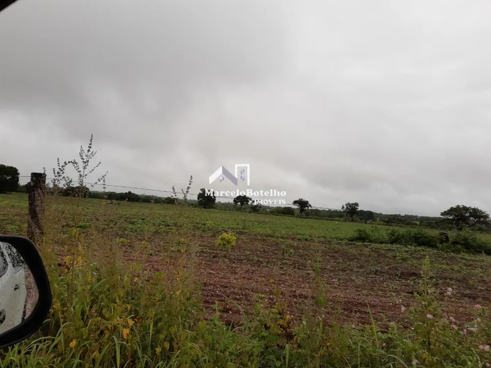 Fazenda - Foto 19