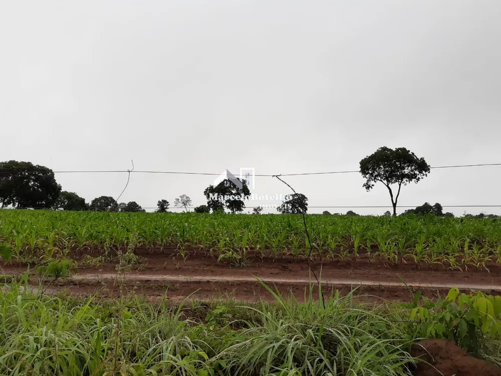 Fazenda - Foto 20