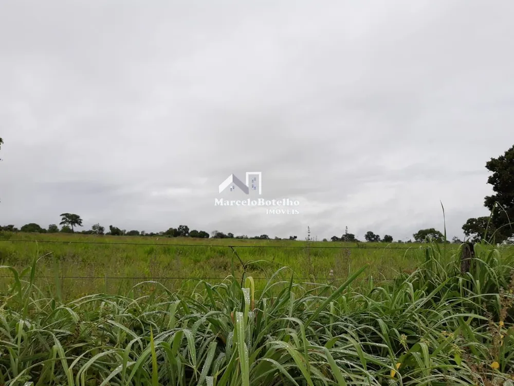 Fazenda - Foto 6