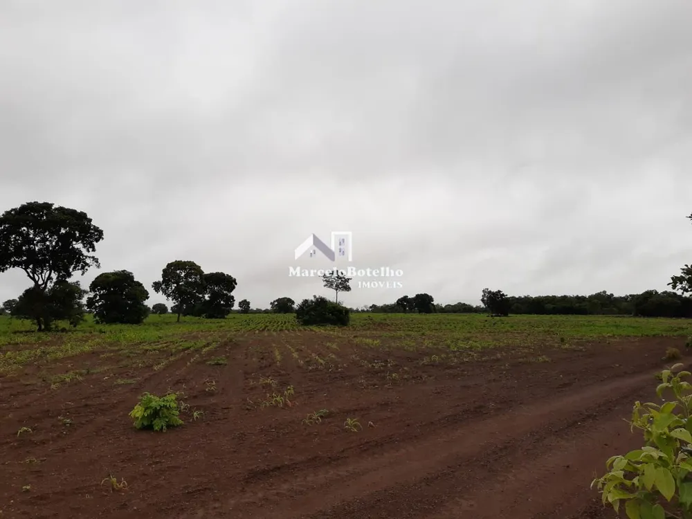 Fazenda - Foto 15