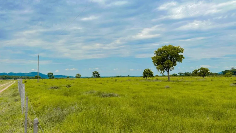 Fazenda - Foto 12