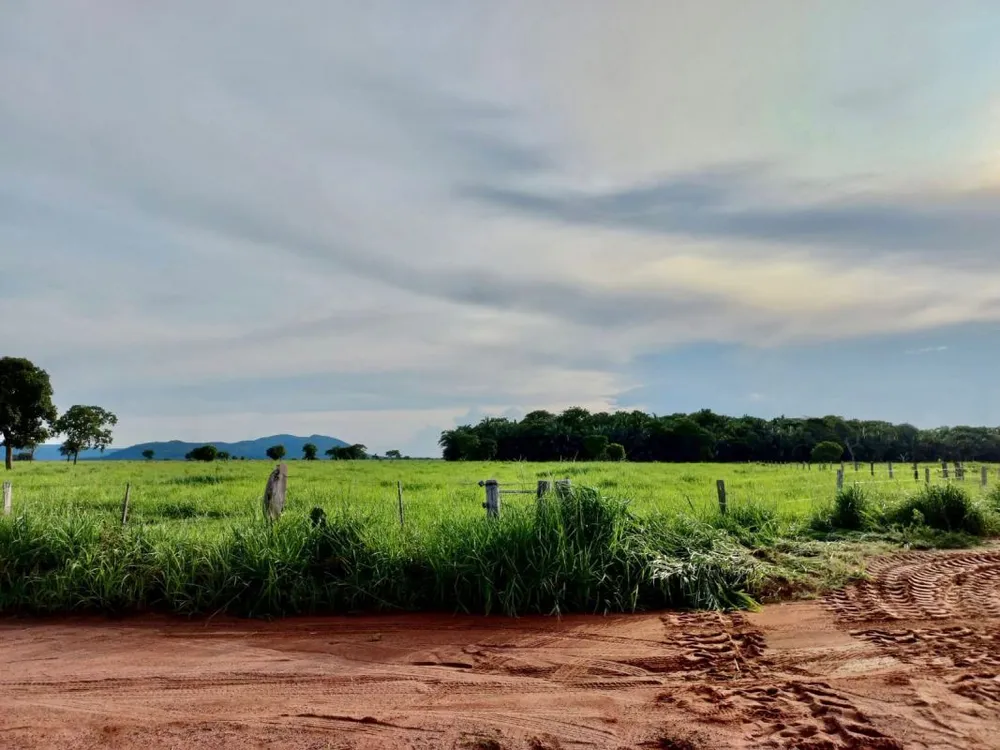 Fazenda - Foto 17
