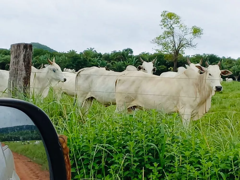 Fazenda à venda, 514m² - Foto 1