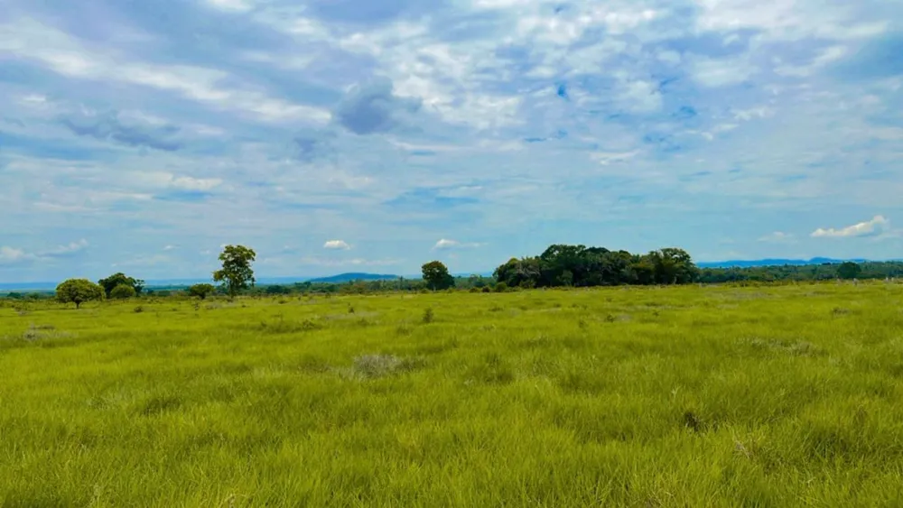 Fazenda - Foto 15