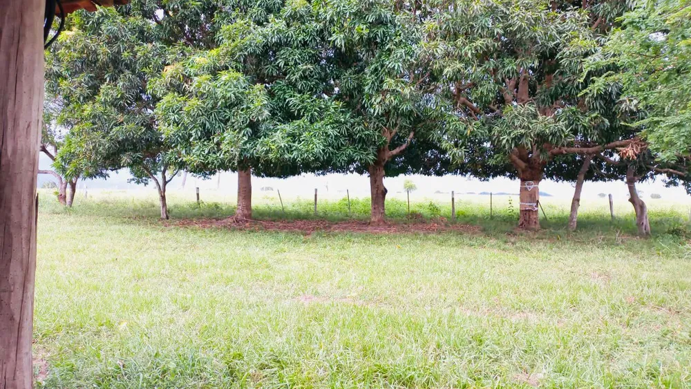 Fazenda - Foto 16