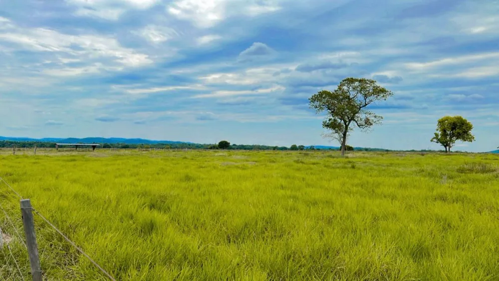 Fazenda - Foto 9