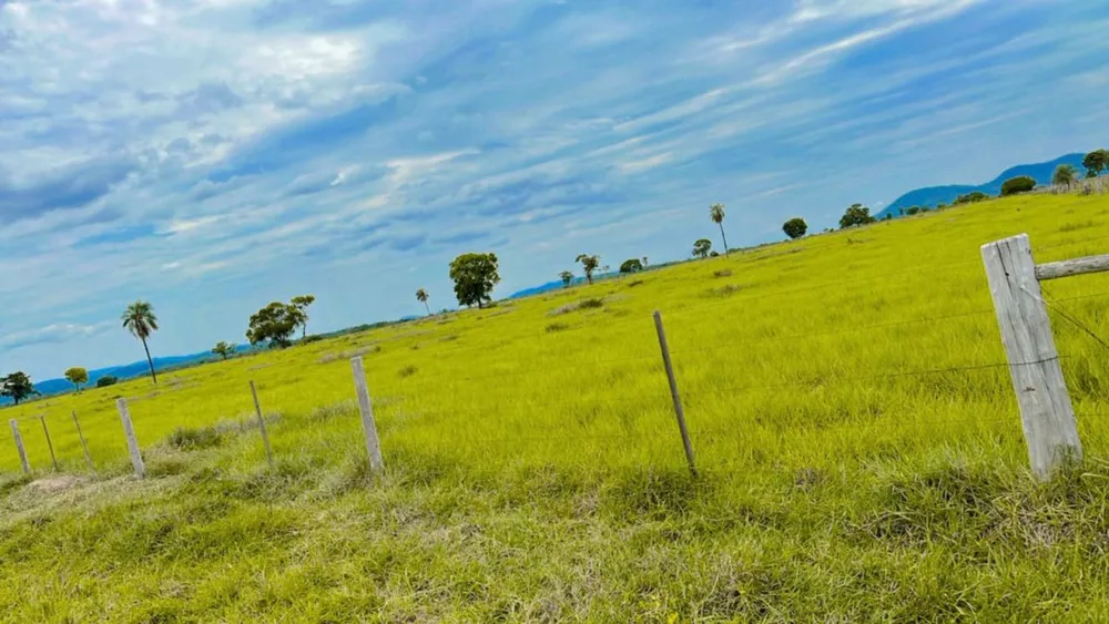 Fazenda - Foto 7