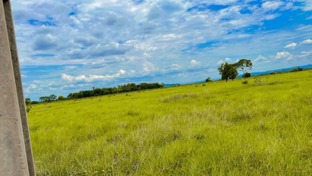 Fazenda - Foto 8