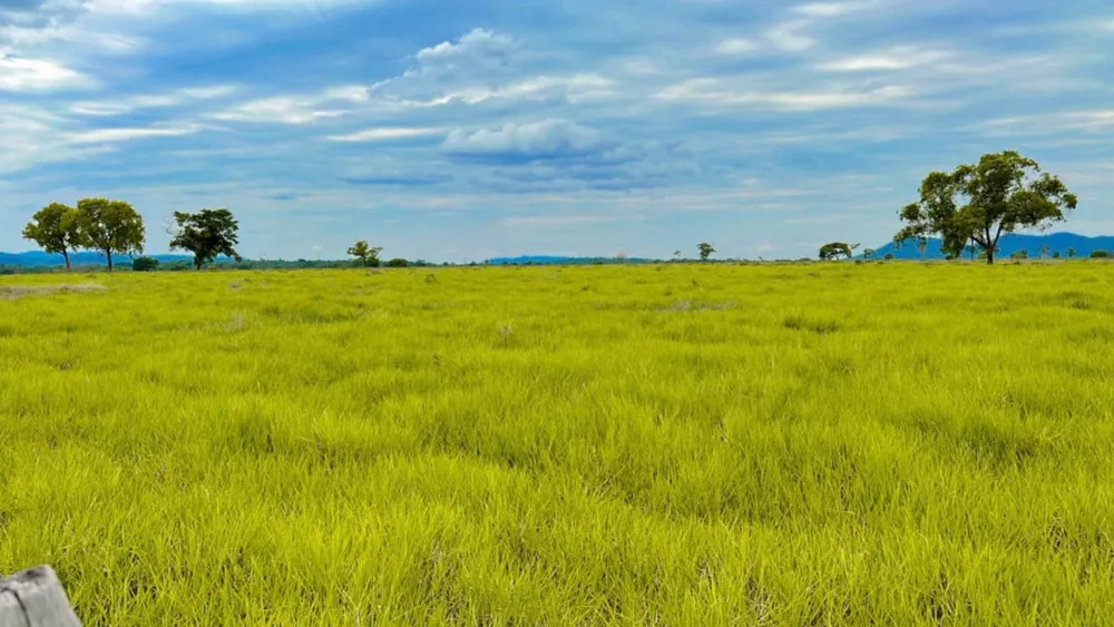 Fazenda - Foto 13