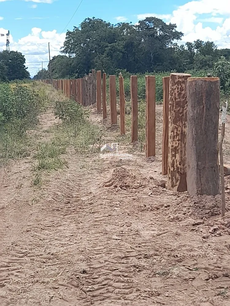 Fazenda - Foto 19