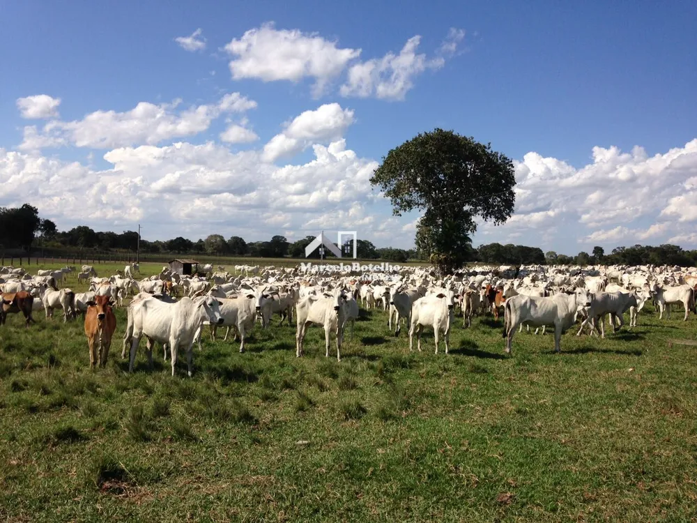 Fazenda - Foto 8