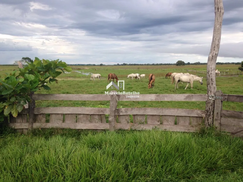 Fazenda - Foto 17