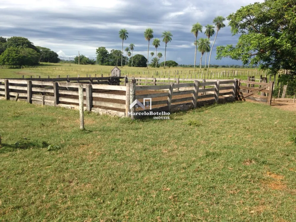 Fazenda - Foto 10