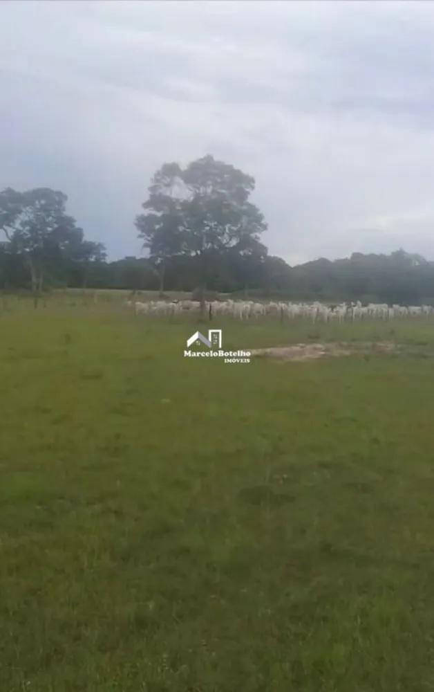 Fazenda - Foto 20
