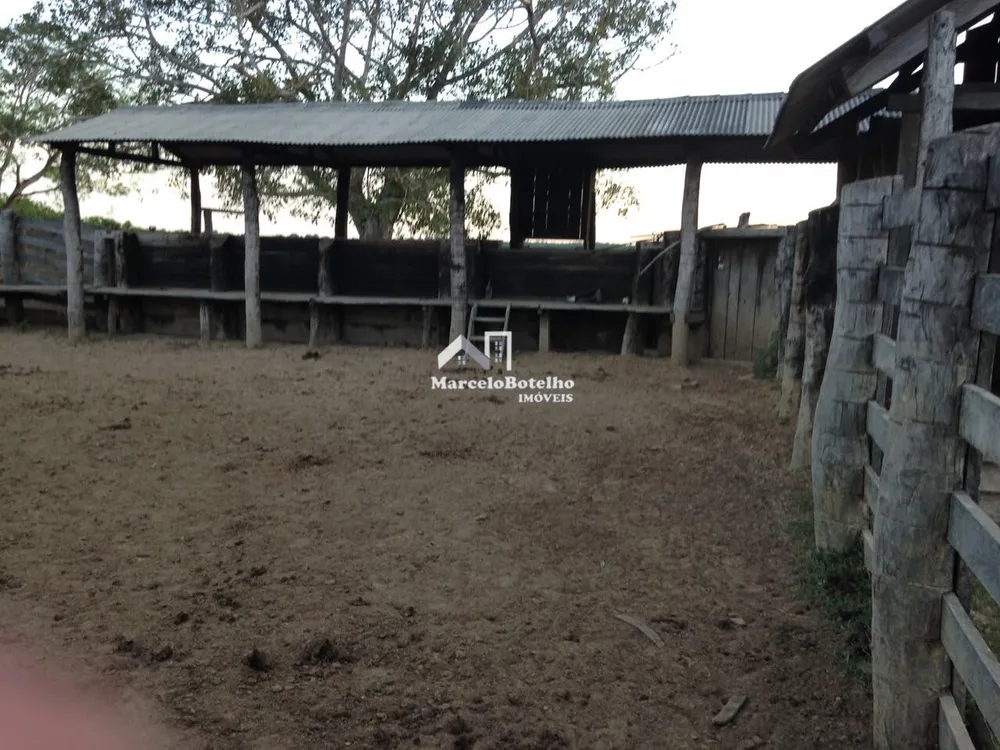 Fazenda - Foto 9
