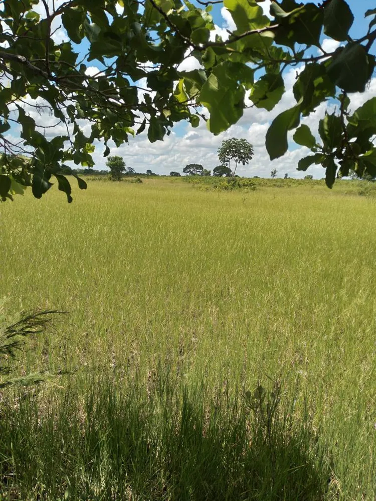 Fazenda - Foto 10