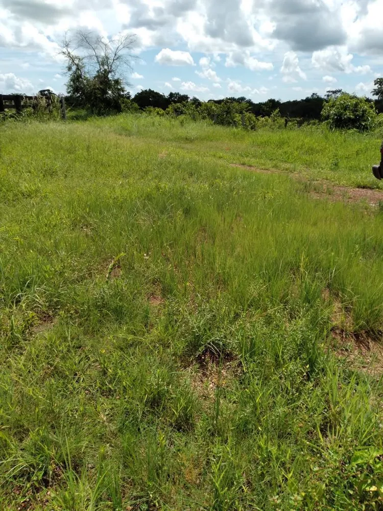 Fazenda - Foto 5