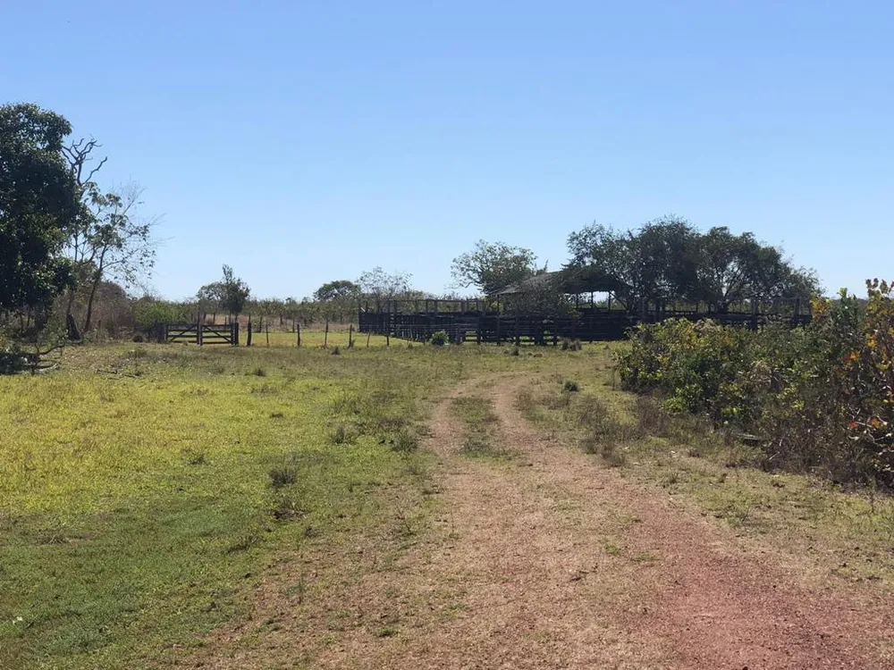 Fazenda - Foto 13